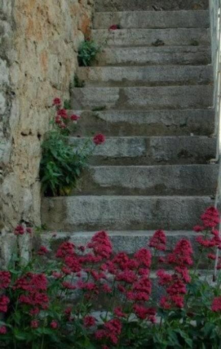 Bedroom For 1, In 100 Y Old Dalmatian House, Under Mountain, 14 Km To Np Krka, 35 Mins Drive To Beach Razvode Екстер'єр фото